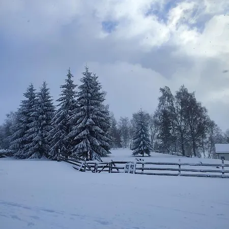 Bakarloko Lipno *