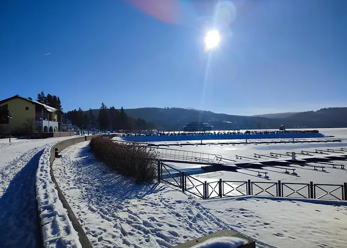Bakarloko Lipno アパート リプノ・ナト・ヴルタヴォウ