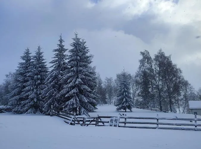 Bakarloko Lipno *